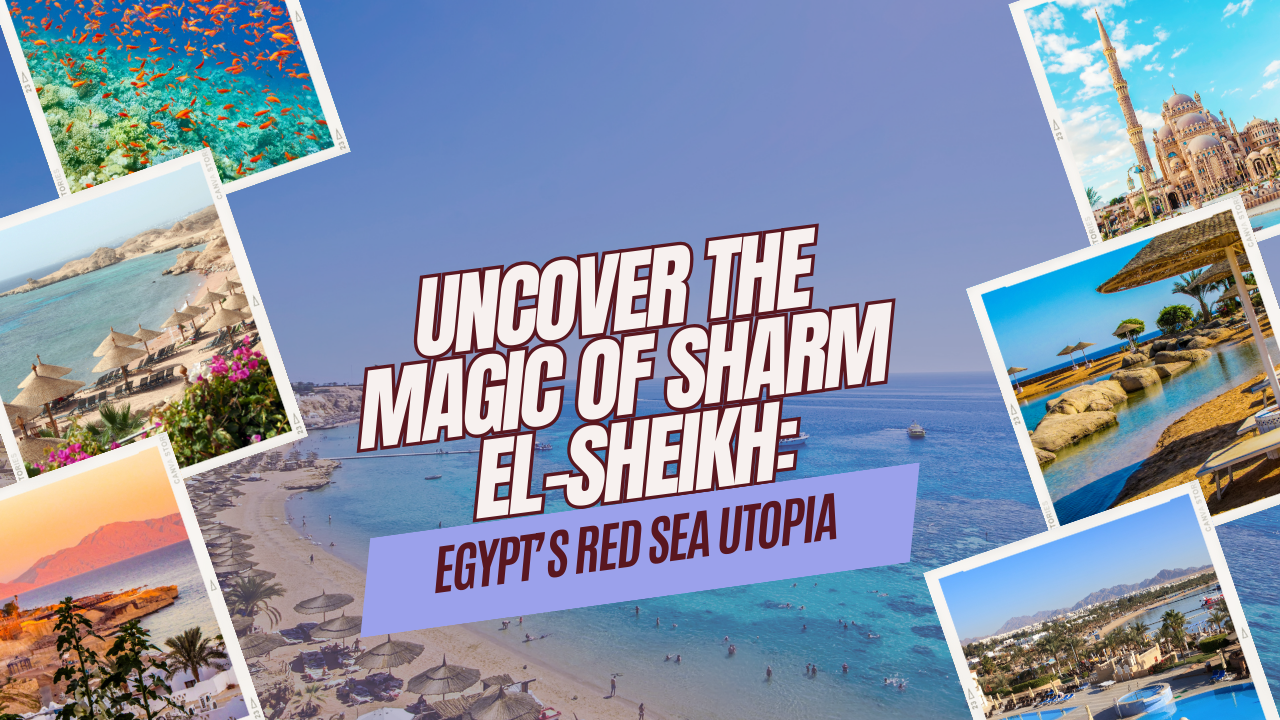 Uncover the Magic of Sharm El-Sheikh: Egypt’s Red Sea Utopia
