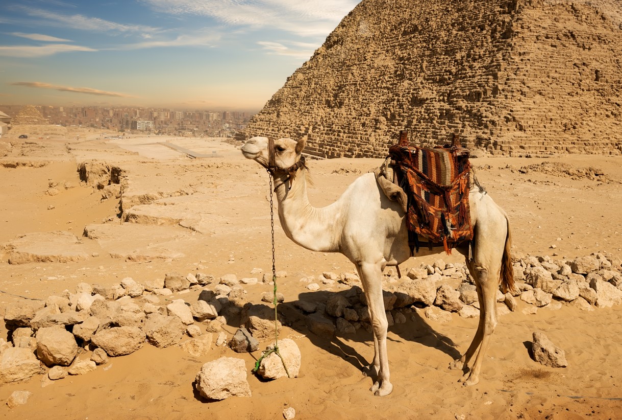 Egypt's Adventure