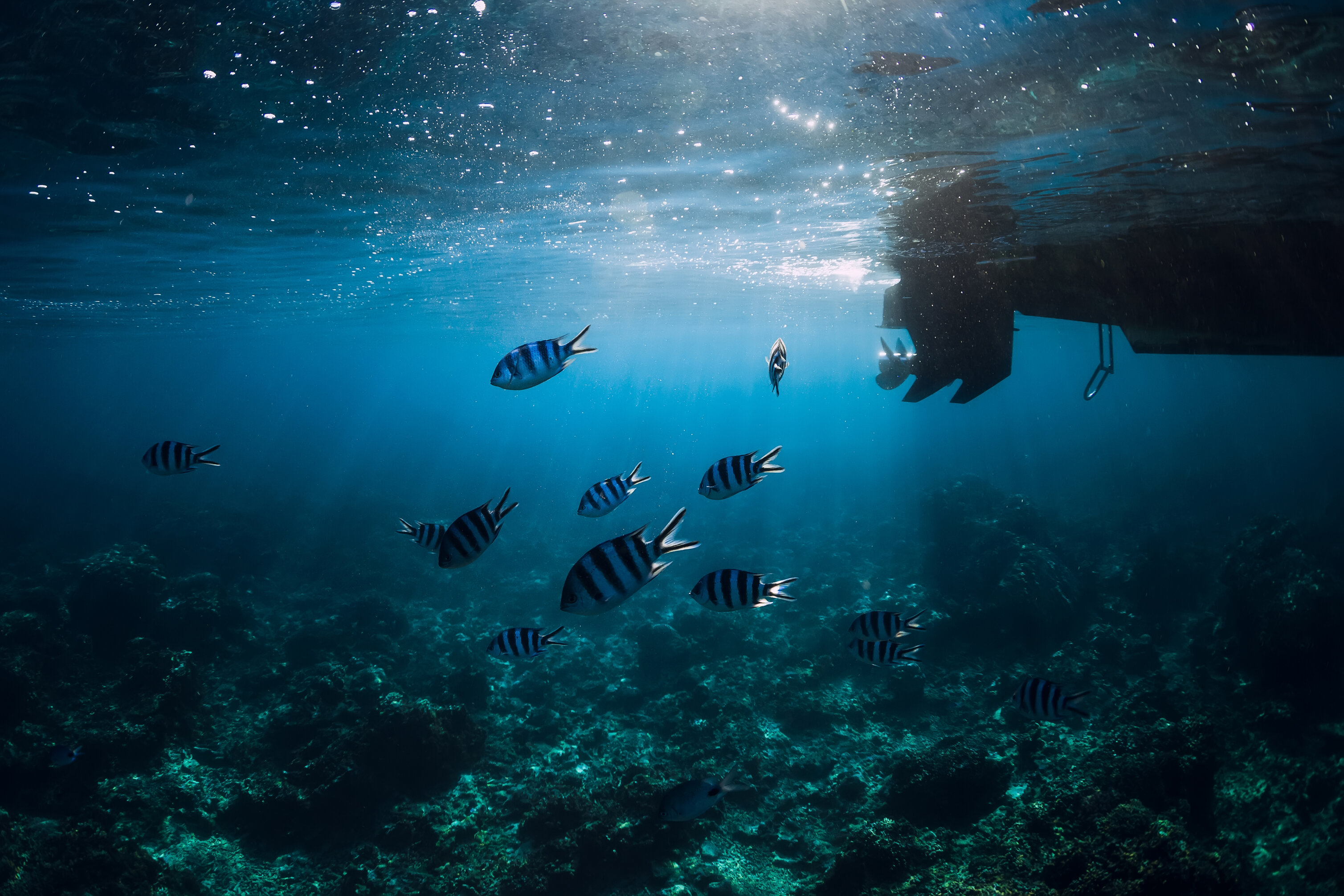 Hurghada's Underwater World