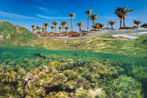 Sharm El-Sheikh