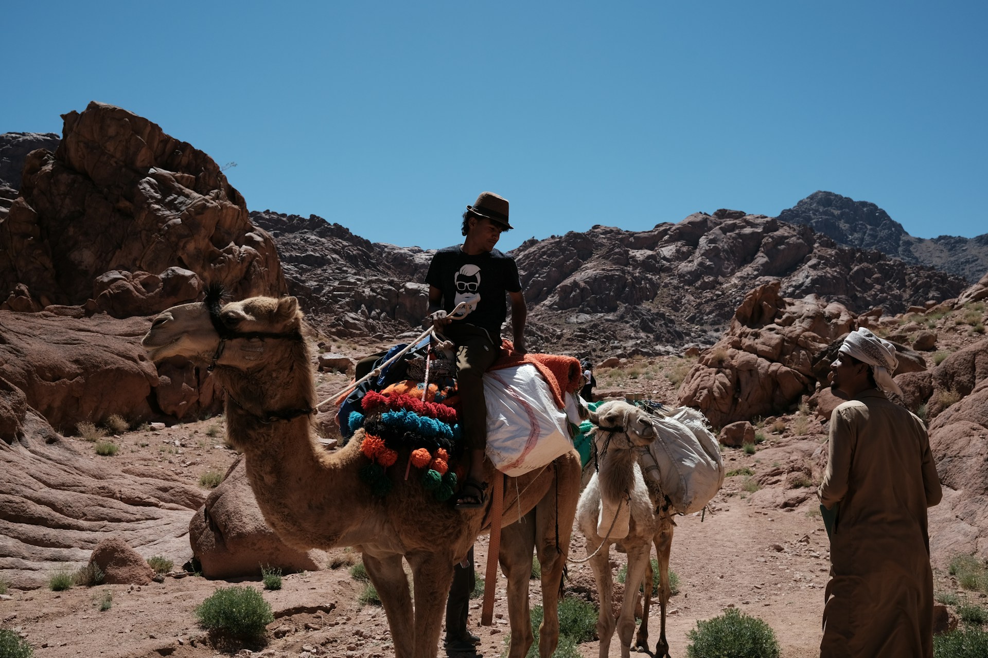 Sinai Desert, Egypt