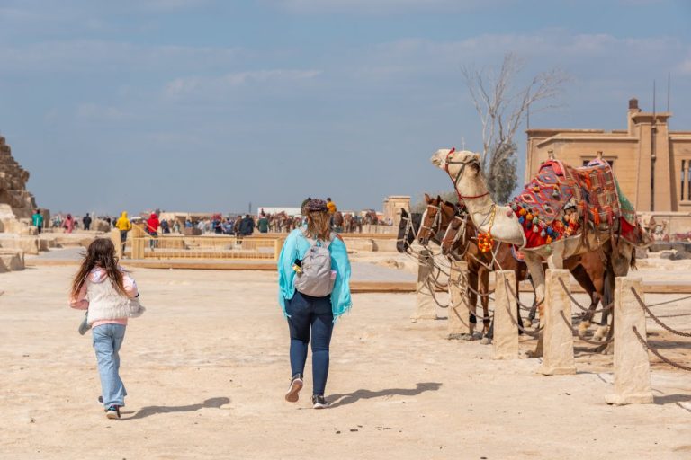 Fun and Exciting Family Activities You Should Not Miss in Cairo