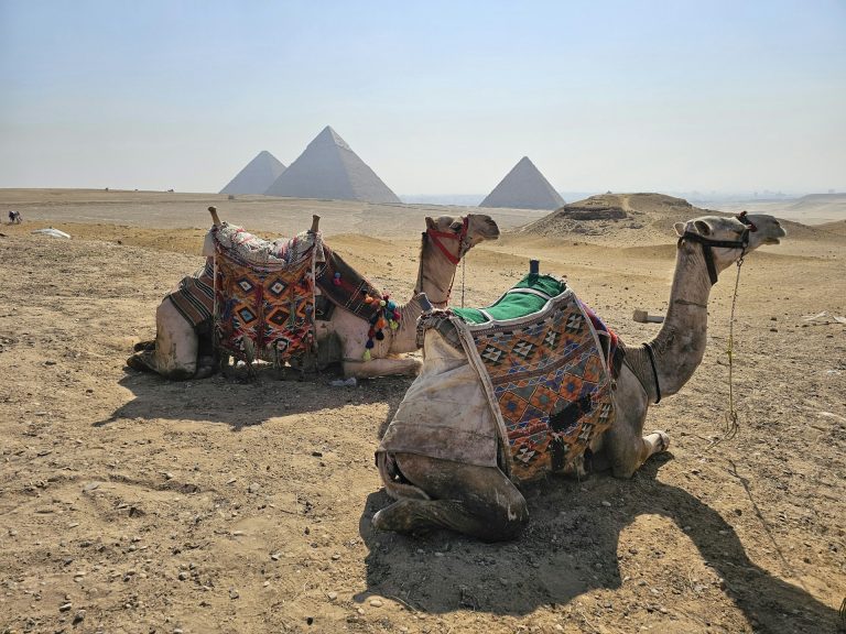 Comparing Egypt Tour Packages: Finding the Perfect Fit for Your Travel Needs
