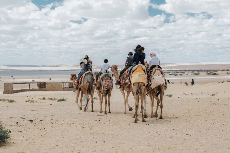 How to Resolve Booking Challenges for Family Tours in Alexandria