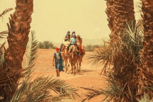 Family Day Trips