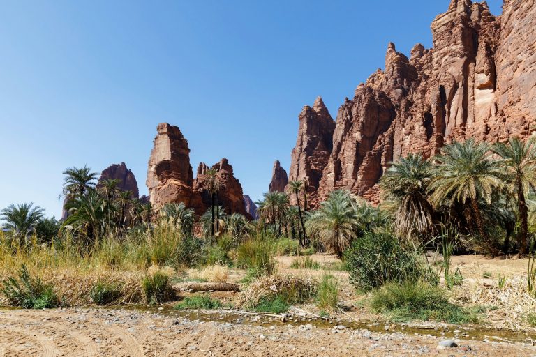 Weather Considerations for Your Fayoum Oasis Tour